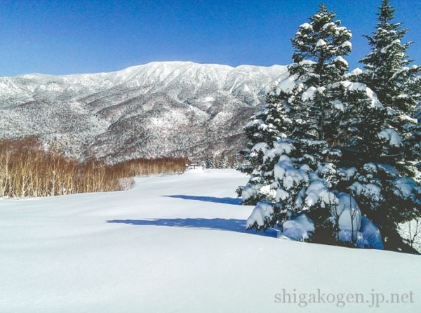 志賀高原-景色が良い, 初心者, ロングコース, ファミリー, パウダー, コブ-slops-焼額山スキー場