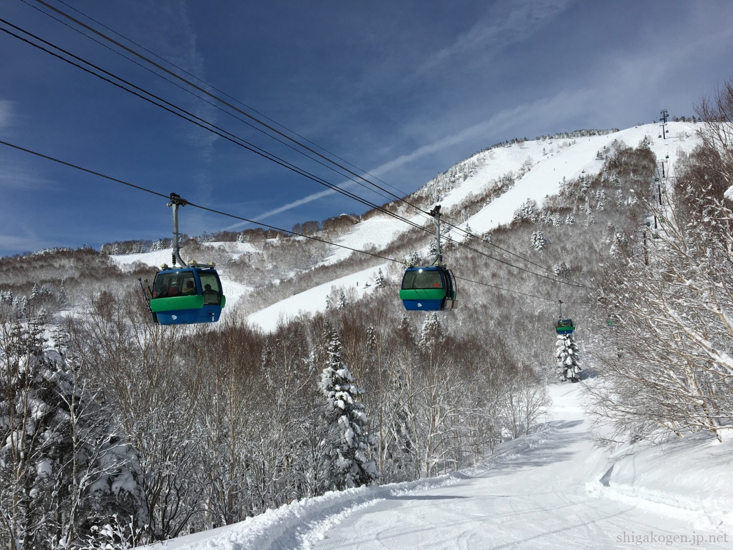 Shiga Kogen ski 20232024 winter opening, price and bus ticket
