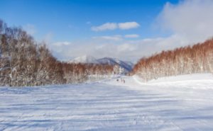 志賀高原-熊の湯, 焼額山, 横手山-slops, event-志賀高原　各スキー場　オープン予定 2021-2022（更新）