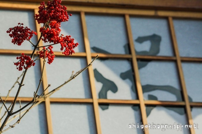 志賀高原-温泉-hotsprings-志賀高原のホテルに温泉はあるの？おすすめの温泉付きホテルをご紹介！
