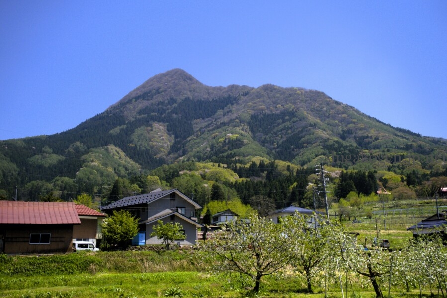 志賀高原-高社山(高井富士)の四季 - 志賀高原-木島平村, 中野市, 北信ハイキング-trekking, northern-高社山(高井富士)の四季