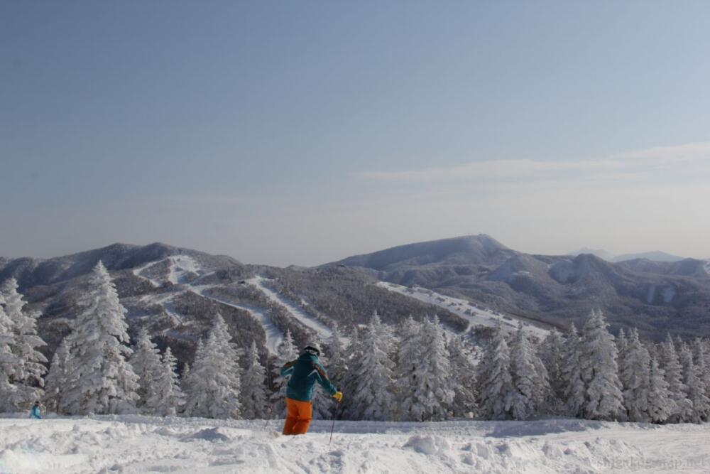 18 19焼額山スキー場 プリンスホテルお得情報 志賀高原ナビ
