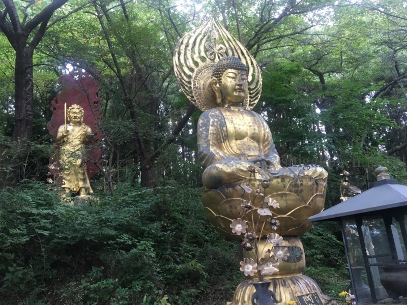志賀高原-高社山(高井富士)の四季 - 志賀高原-木島平村, 中野市, 北信ハイキング-trekking, northern-高社山(高井富士)の四季