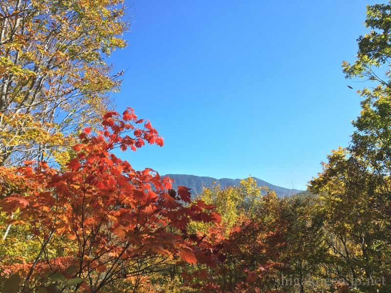 志賀高原-景色が良い-summer-志賀高原のおすすめ紅葉スポット