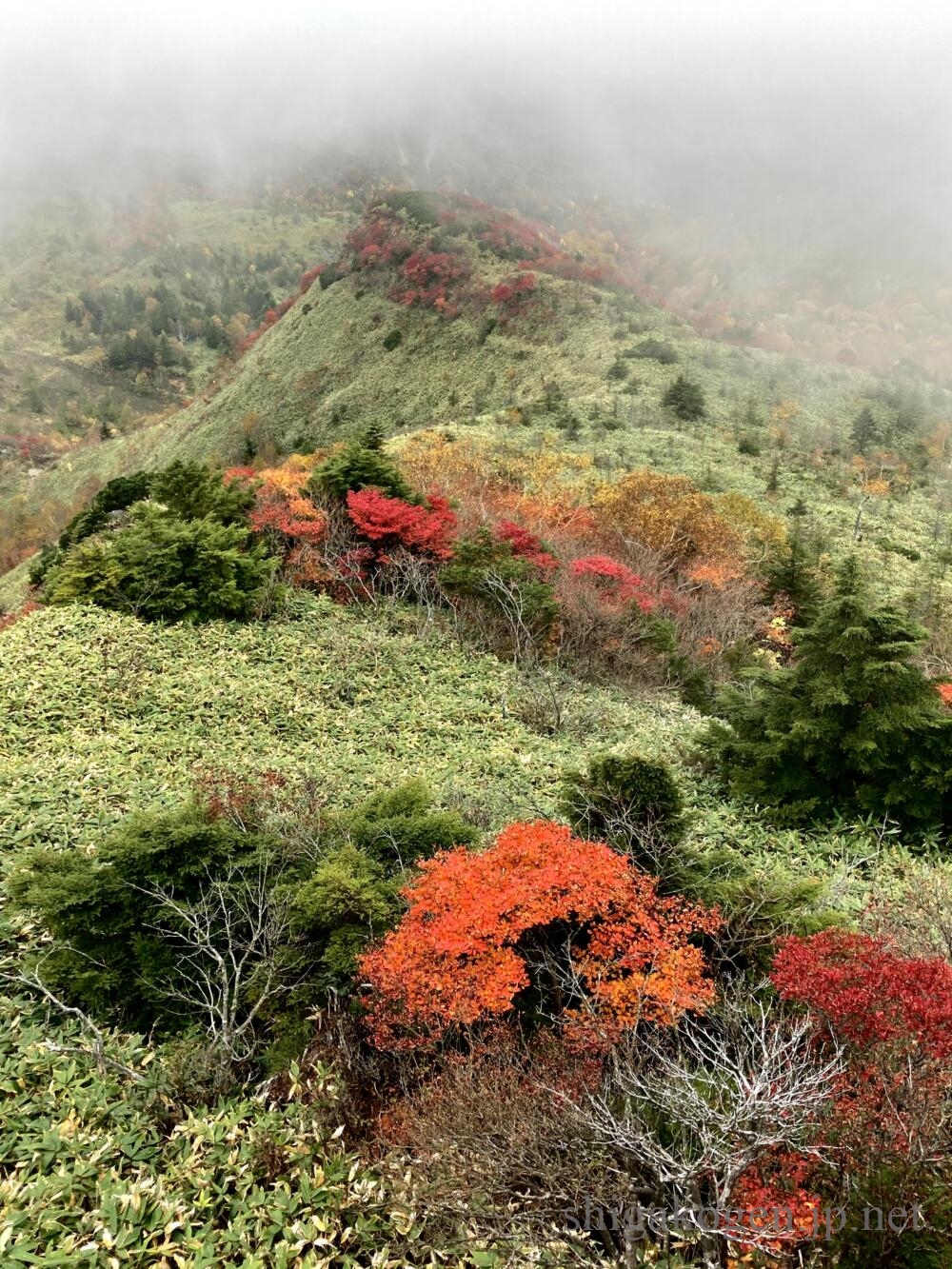 志賀高原-高山村, 紅葉-trekking-破風岳と土鍋山へ