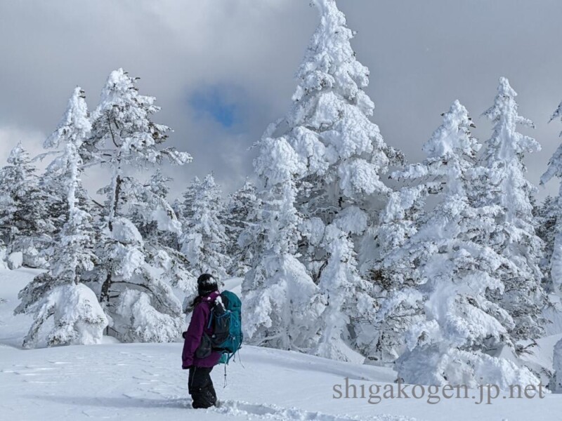 志賀高原-やっと焼額山と奥志賀がコラボ!共通シーズンパスで超お得に大ゲレンデを滑ろう!- 志賀高原-リフト券, 奥志賀, 焼額山-event-やっと焼額山と奥志賀がコラボ!共通シーズンパスで超お得に大ゲレンデを滑ろう!