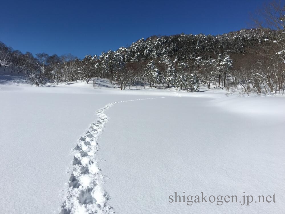 志賀高原-山ノ内町, スノーシュー-trekking-志賀高原の旭山へ　スノーシューハイク