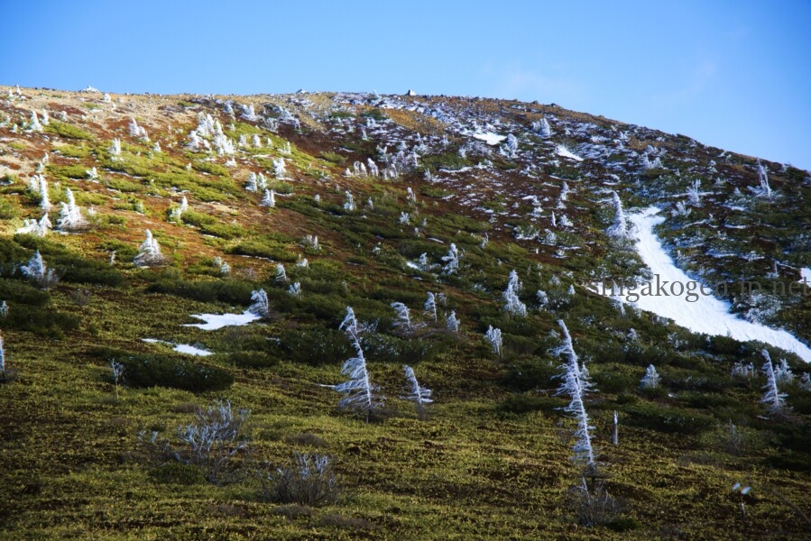 志賀高原-志賀草津高原ルート 4月末~5月中旬の風景- 志賀高原-山ノ内町, 北信情報, 写真スポット, feature-northern, drive-志賀草津高原ルート 4月末~5月中旬の風景