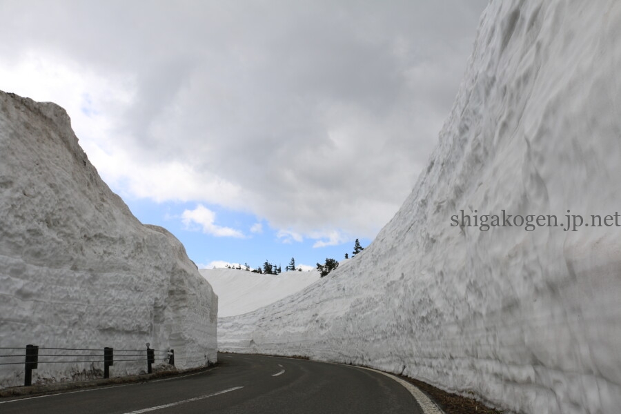 志賀高原-志賀草津高原ルート 4月末~5月中旬の風景- 志賀高原-山ノ内町, 北信情報, 写真スポット, feature-northern, drive-志賀草津高原ルート 4月末~5月中旬の風景