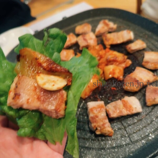 志賀高原-飯山市 おすすめ食事処【更新】- 志賀高原-飯山市, 北信食事-restaurant, northern-飯山市 おすすめ食事処【更新】