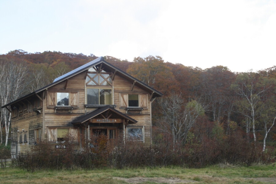 志賀高原-穴場自然の森!木島平村カヤの平高原でキャンプもハイキングも楽しもう!- 志賀高原-木島平村, 北信ハイキング-summer, northern, trekking-穴場自然の森!木島平村カヤの平高原でキャンプもハイキングも楽しもう!