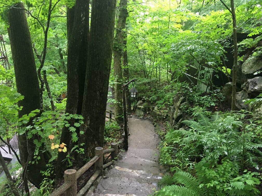 志賀高原-良泉質!秘湯だらけの高山村日帰り入浴まとめ- 志賀高原-高山村, 温泉-hotsprings, northern-良泉質!秘湯だらけの高山村日帰り入浴まとめ
