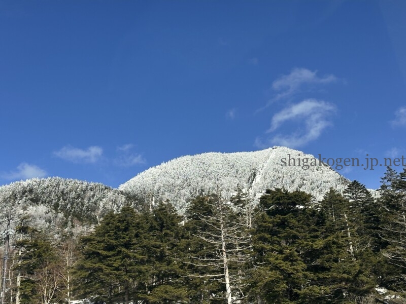 志賀高原-志賀草津高原ルート 4月末~5月中旬の風景- 志賀高原-山ノ内町, 北信情報, 写真スポット, feature-northern, drive-志賀草津高原ルート 4月末~5月中旬の風景