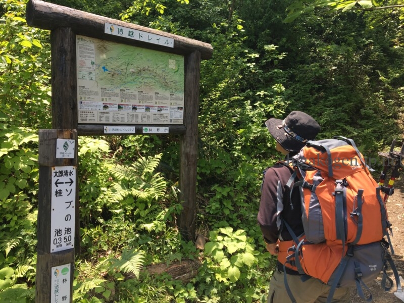志賀高原-花盛り信越トレイル 斑尾~希望湖は6月がおすすめ- 志賀高原-写真スポット, 花風景, 飯山市, 北信ハイキング, 北信情報, feature-trekking, northern-花盛り信越トレイル 斑尾~希望湖は6月がおすすめ