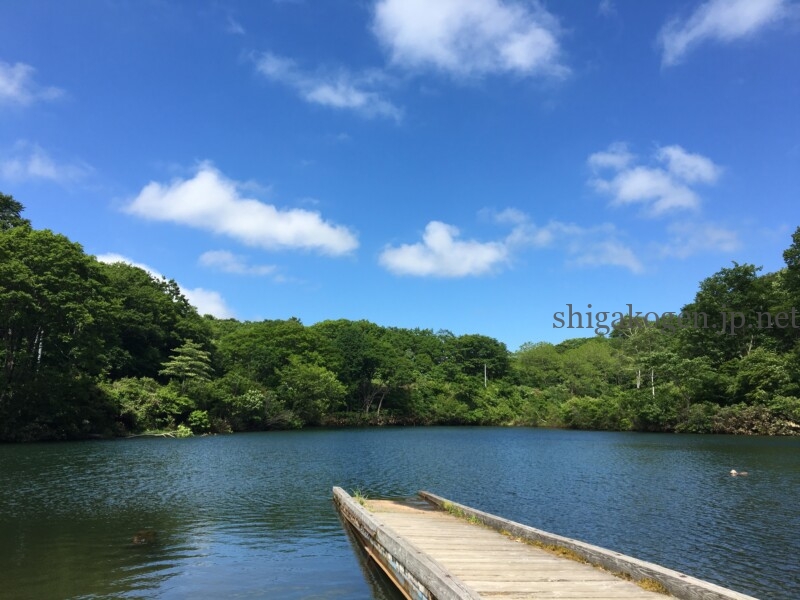 志賀高原-花盛り信越トレイル 斑尾~希望湖は6月がおすすめ- 志賀高原-写真スポット, 花風景, 飯山市, 北信ハイキング, 北信情報, feature-trekking, northern-花盛り信越トレイル 斑尾~希望湖は6月がおすすめ