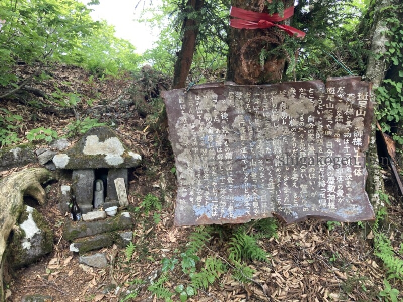志賀高原-花盛り信越トレイル 斑尾~希望湖は6月がおすすめ- 志賀高原-写真スポット, 花風景, 飯山市, 北信ハイキング, 北信情報, feature-trekking, northern-花盛り信越トレイル 斑尾~希望湖は6月がおすすめ