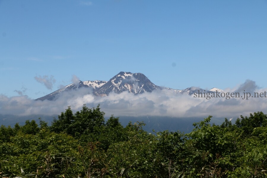 志賀高原-花盛り信越トレイル 斑尾~希望湖は6月がおすすめ- 志賀高原-写真スポット, 花風景, 飯山市, 北信ハイキング, 北信情報, feature-trekking, northern-花盛り信越トレイル 斑尾~希望湖は6月がおすすめ