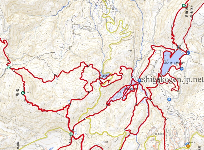 志賀高原-写真スポット, 花風景, 飯山市, 北信ハイキング, 北信情報, feature-northern, trekking-花盛り信越トレイル 斑尾～希望湖は6月がおすすめ